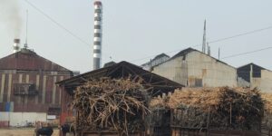 আখের অভাবে বন্ধ হলো নর্থ বেঙ্গল সুগার মিল#সংবাদ শৈলী