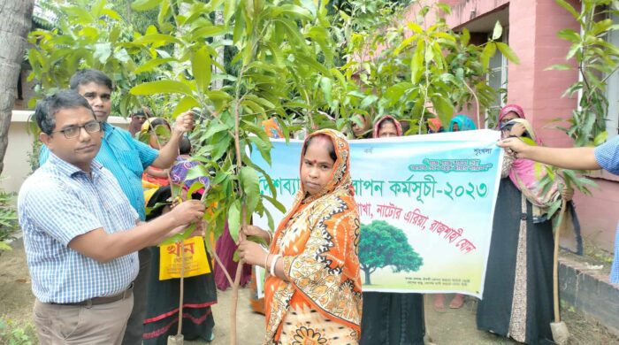 নাটোরের হালসায় গ্রামীণ ব্যাংকের  গাছের চারা বিতরণ#সংবাদ শৈলী