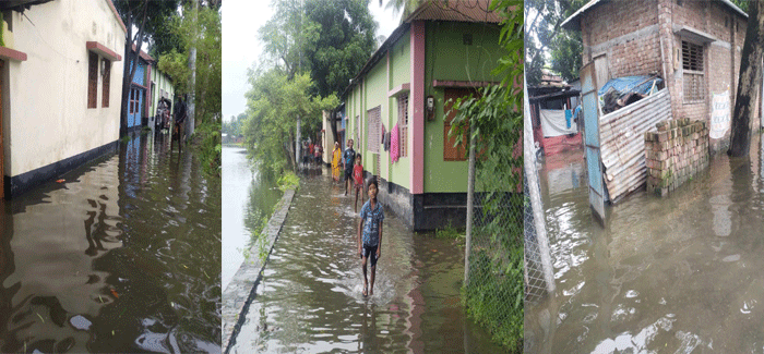 ভারী বৃষ্টিপাতে পানি বন্দী নাটোর পৌরসভার কয়েকটি এলাকার বাসিন্দা\ জেলা জুড়ে ফসলের ক্ষতি#সংবাদ শৈলী