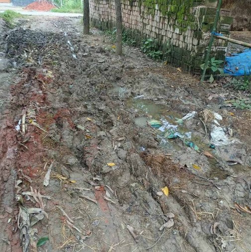 বড়াইগ্রামে রাস্তা নিয়ে সংঘর্ষে এনসিপি নেতা সহ আহত ৬#সংবাদ শৈলী