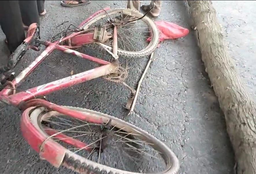 নাটোরে ট্রাকচাপায় প্রাণ কোম্পানির শ্রমিক নিহত#সংবাদ শৈলী