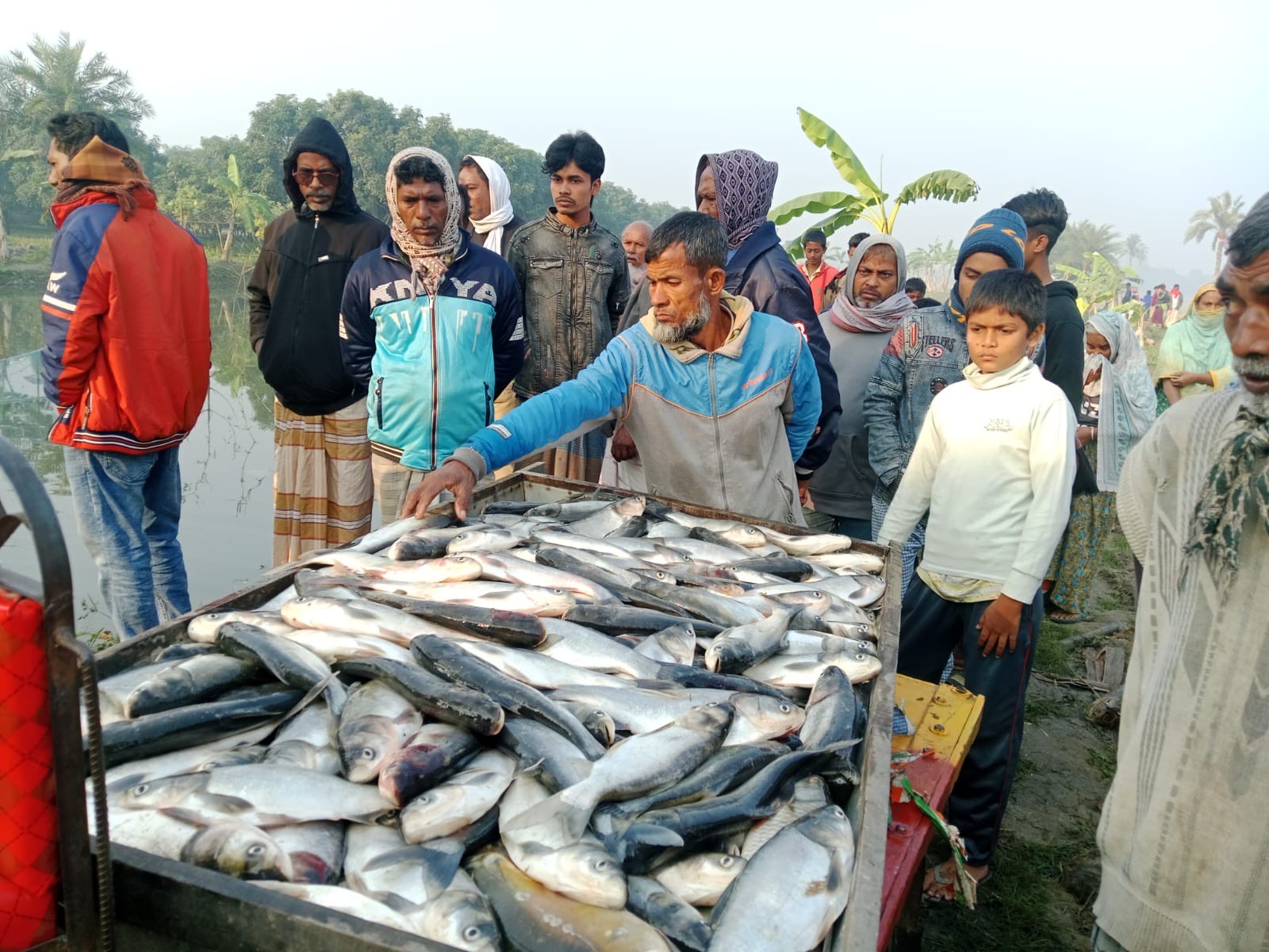 নাটোরে পুকুরে বিষ প্রয়োগে ৬ লক্ষ টাকার মাছ নিধন#সংবাদ শৈলী