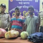 নাটোরে যাত্রীবাহী  বাস থেকে ৭ কেজি গাঁজাসহ  ২ জন আটক