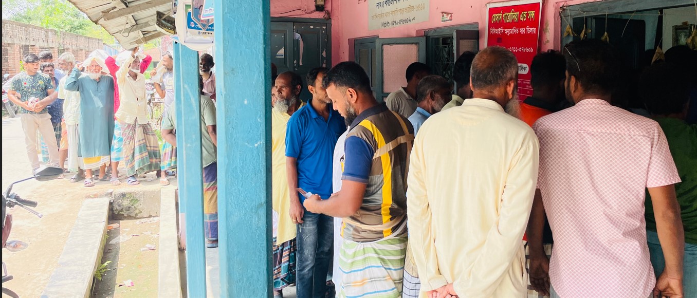 ছবিতে নাটোরের বাগাতিপাড়া উপজেলার মালঞ্চি বাজারের ডিলার মেসার্স রাজা ইন্টারন্যাশনাল এর সামনে সার কিনতে আসা কৃষকদের দীর্ঘ লাইন। বুধবার সকালে তোলা ছবি।sangbad shoily