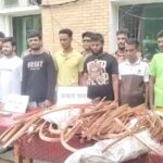 লালপুরে জুট মিলে ডাকাতির মালামালসহ ছয় ডাকাত গ্রেপ্তার 