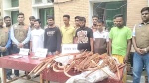 লালপুরে জুট মিলে ডাকাতির মালামালসহ ছয় ডাকাত গ্রেপ্তার
