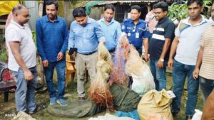 সিংড়ায় গোয়েন্দা তথ্যে অভিযান, ২০ লাখ টাকার অবৈধ চায়না দুয়ারি জাল ধ্বংস #সংবাদ শৈলী