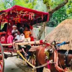 ১২ বছর পর নাতি হওয়ার আনন্দে ঘোড়ার গাড়িতে ঘুরিয়ে মিষ্টি বিতরণ নানার