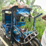 বড়াইগ্রামে ট্রাক ইজিবাইক সংঘর্ষে নিহত ১