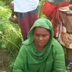 নাটোরে ১৫ কাঠা জমির ধুন্দুল ক্ষেত কেটে তছনছ, কৃষকের মাথায় হাত