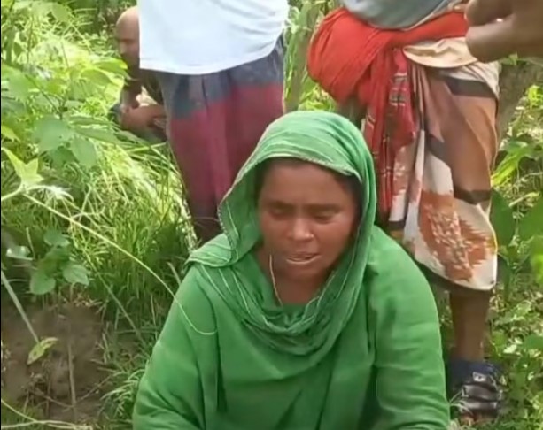 নাটোরে ১৫ কাঠা জমির ধুন্দুল ক্ষেত কেটে তছনছ, কৃষকের মাথায় হাত#সংবাদ শৈলী