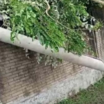 ৪০ সেকেন্ডের হঠাৎ টর্নেডোতে লণ্ডভণ্ড ৩৫ পরিবার