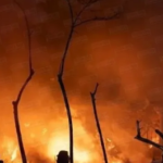 ইউক্রেনের ড্রোন হামলায় রাশিয়ার তেল শোধনাগারে আগুন