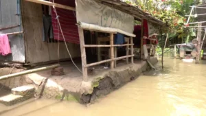 হাজার কোটি টাকা খরচের পরও কেন মেলেনি সুফল?