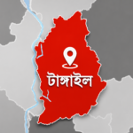 টাঙ্গাইলে বিএনপি নেতার মাকে কুপিয়ে হত্যা