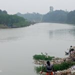 নাটোরের নলডাঙ্গার বারনই নদীতে ভেসে উঠছে মাছ-বিষ নাকি গ্যাস-রহস্য ঘিরে চাঞ্চল্য