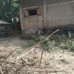নলডাঙ্গায় অগ্নিসংযোগ,গাছ কাটা-হামলা অভিযোগ