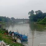 বারনই নদীতে মাছের মড়ক, পানিতে অ্যামোনিয়া স্বাভাবিকের ছয় গুণ