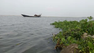 গঙ্গা-গড়াই নদীর পানি সতর্কসীমায়, নিম্নাঞ্চলে প্লাবনের শঙ্কা