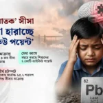 ‘নীরব ঘাতক’ সিসার বিষে নীল শৈশব