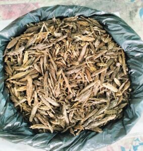 সিংড়ায় ১ কেজি গাঁজাসহ যুবক গ্রেপ্তার#সংবাদ শৈলী 