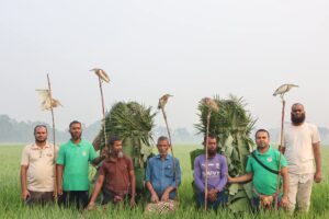 চলনবিলে অভিযানে অর্ধ শতাধিক বক উদ্ধার: তিন শিকারীর কারাদণ্ড #সংবাদ শৈলী 