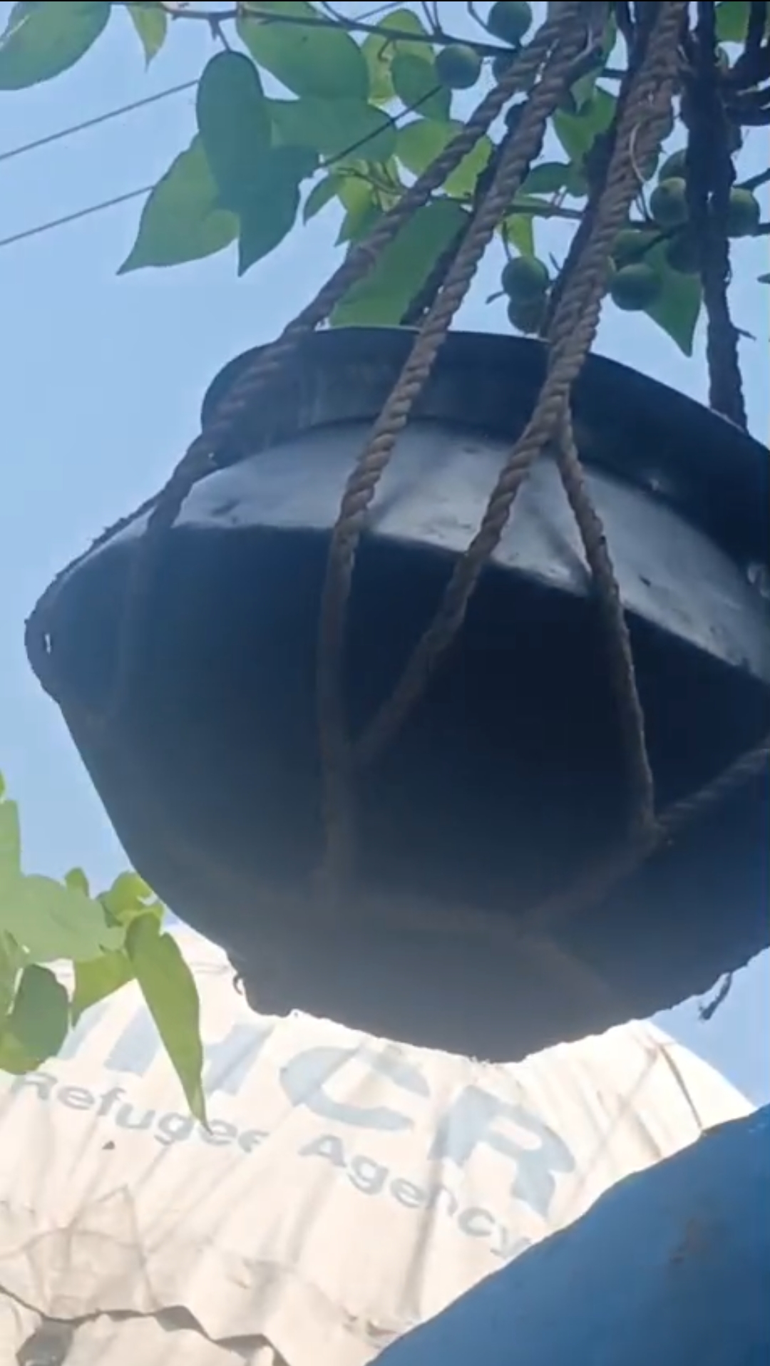 ডুমুর গাছে ঝুলতে পাতিল-রোগ মুক্তির আশায় ছুটছে মানুষ!