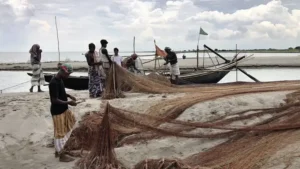 মা ইলিশ রক্ষায় ২২ দিনের নিষেধাজ্ঞা, দুশ্চিন্তায় জেলেরা